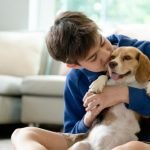 Dog Training And Non-Food Rewards