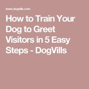 How to Train Your Dog to Greet Visitors in 5 Easy Steps