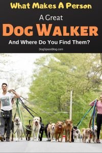 What Makes A Person A Great Dog Walker And Where Do You Find...