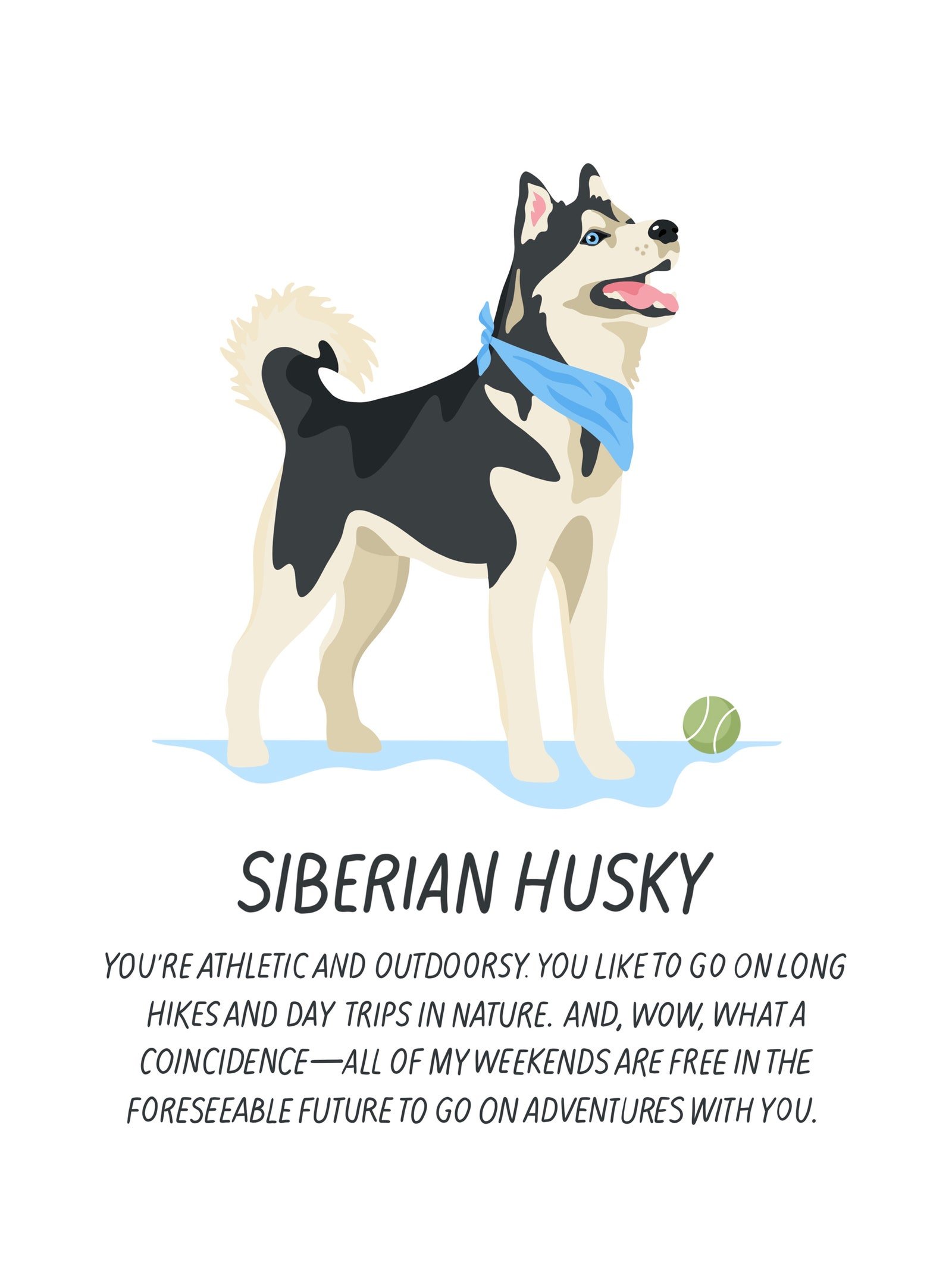 What Your Favorite Dog Breed Says About You