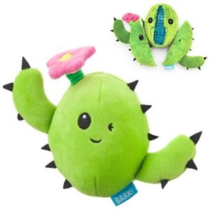 Barkbox 2 in 1 Interactive Plush Dog Toy - Rip And Reveal Toy for Dogs And Puppies - Stimulating Squeaky Pet Toys | Consuela Cactus (Large)