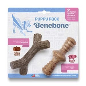 Benebone 2-Pack Wishbone/Dental Durable Dog Chew Toys, Dog Toys for Aggressive Chewers, Real Bacon, Made in Usa, Medium