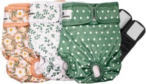 Pet Parents® Washable Dog Diapers (3pack) + Extendrs® of Durable Doggie Diapers, Premium Dog Diapers Female (Large, Daisy)