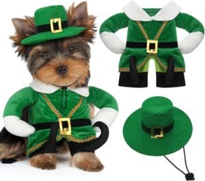 St. Patrick's Day Dog Costume Walking Leprechaun Dog Costume Irish Funny Pet Outfit with Arms Irish Holiday Day Outfit Accessories for Cat Doggy Pet(S)
