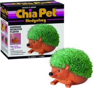 Chia Pet Hedgehog Decorative Pottery Planter with Seed Pack, Decorative Pottery Planter, Easy to Do and Fun to Grow, Novelty Gift, Perfect for Any Occasion