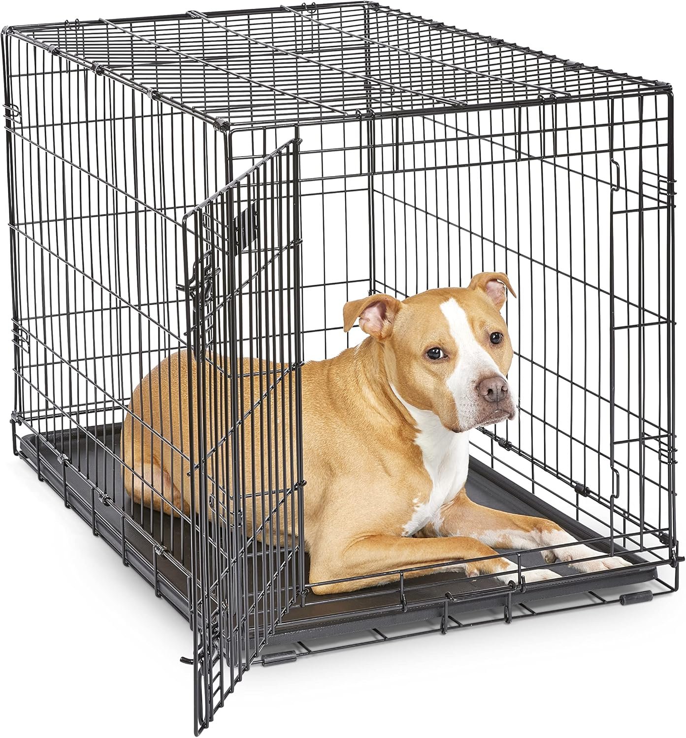 MidWest Homes for Pets Newly Enhanced Single Door iCrate Dog Crate, Includes Leak-Proof Pan, Floor Protecting Feet , Divider Panel & New Patented Features, Black