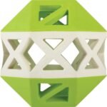 Fringe Studio "This is How I ROLL Lime/White Rubber Dog Toy, Pet Shop Collection (518028)